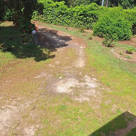 De Campagne En Corse *