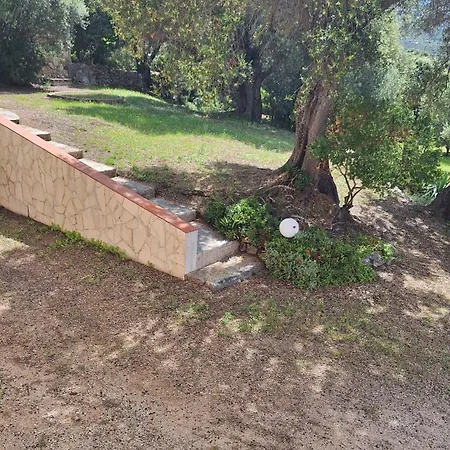 De Campagne En Corse Lumio (Corsica)
