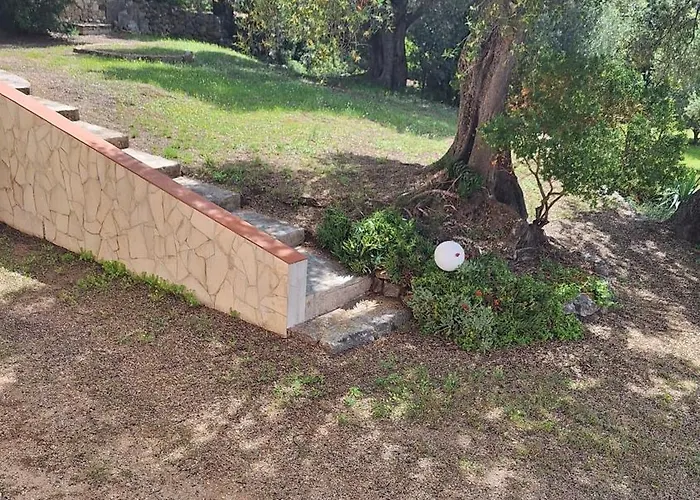 De Campagne En Corse Lumio (Corsica)